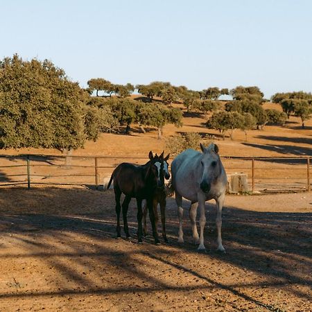 Herdade Da Caniceira Ervedal Exterior foto